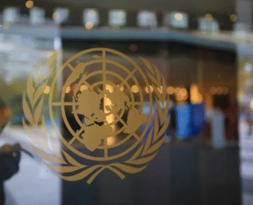 58df8f_eff54562a487414eb587c9ccb77fa43emv2