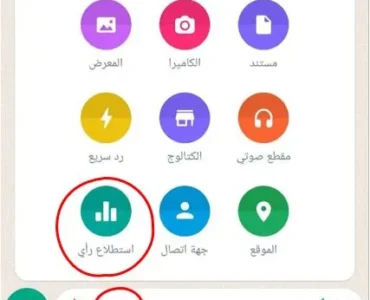 58df8f_f86c0e75ce724c81b74bef2663ca21c5mv2