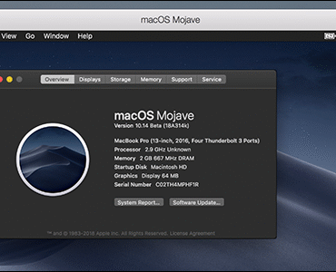 58df8f_02f7848fc5f74233bb482ed2e6864ca2mv2