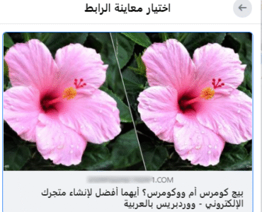 58df8f_0317a903cead45bbbd8ae029e940e03dmv2