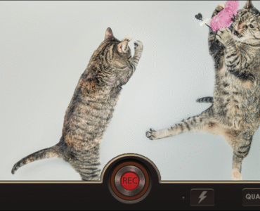 58df8f_353a69aecded44419abd43a519c9ec84mv2