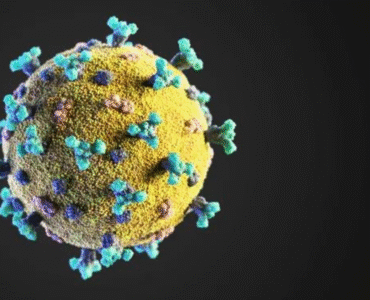 58df8f_45ab55c7f5e24f188a1ca8135ff57b77mv2