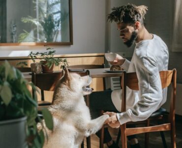 58df8f_75953eab8a0f4a408a5f41ff438eee21mv2