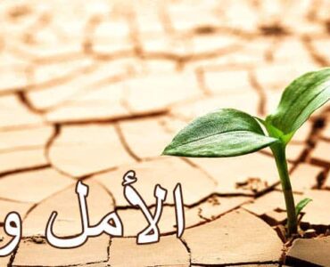 58df8f_9c15e7473d4b4ee396bce536e7894ec7mv2