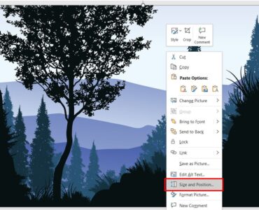 58df8f_9ca856b3c58841738f67037f97808d3fmv2