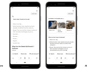 58df8f_b263a19c660b4bf38b6500444dc61338mv2