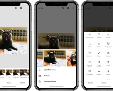 58df8f_ee65fe3d5988464eb4b86d92aaa755ffmv2