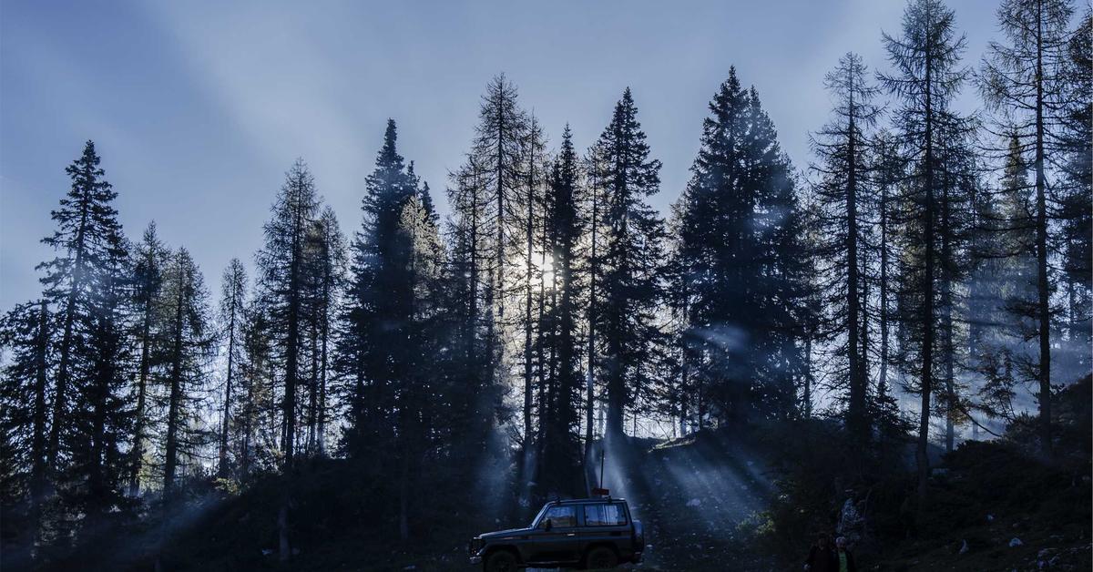 dropidea 14886 1773489261498 دروب أيديــا | DROPIDEA