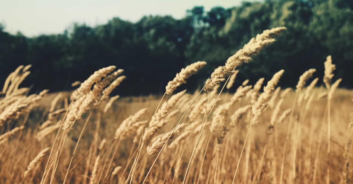 post 18648 دروب أيديــا | DROPIDEA